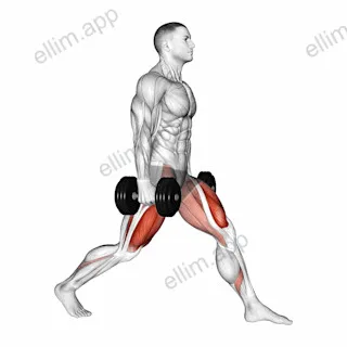Dumbbell Static Lunge exercise targeting Thighs and Gluteus Maximus