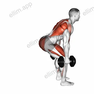 Dumbbell Step Back Lunge and Row exercise targeting Thighs