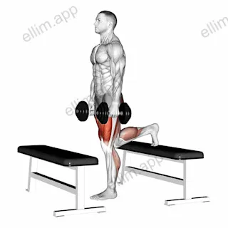 Dumbbell Step up Lunge exercise targeting Thighs