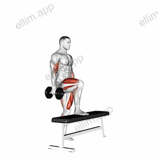 Dumbbell Step Up Single Leg Balance with Bicep Curl exercise targeting Upper Arms