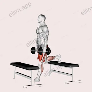 Dumbbell Step up Split Squat exercise targeting Thighs