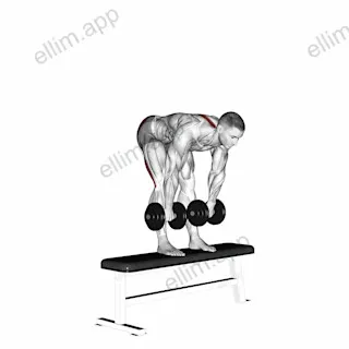 Dumbbell Stiff Leg Deadlift on Bench exercise targeting Hips