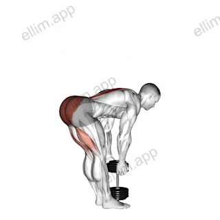 Dumbbell Stiff Leg Deadlift exercise targeting Hips and Erector Spinae