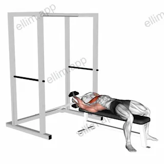 Dumbbell Straight Arm Pullover (with hanging band technique) exercise targeting Chest and Pectoralis Major Sternal Head