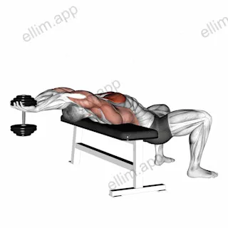 Dumbbell Straight Arm Pullover exercise targeting Chest and Pectoralis Major Sternal Head