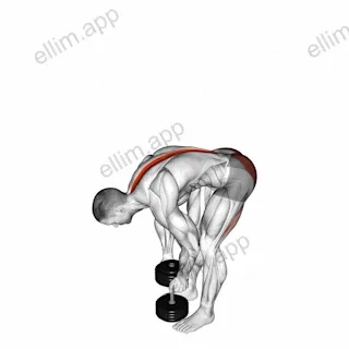 Dumbbell Straight Legs Deadlift exercise targeting Hips and Erector Spinae