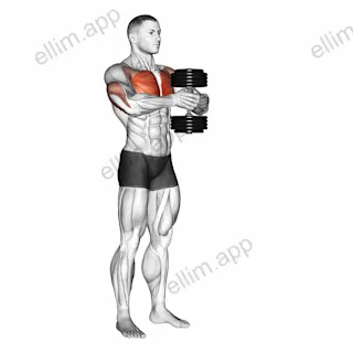 Dumbbell Svend Press exercise targeting Chest and Pectoralis Major Clavicular Head