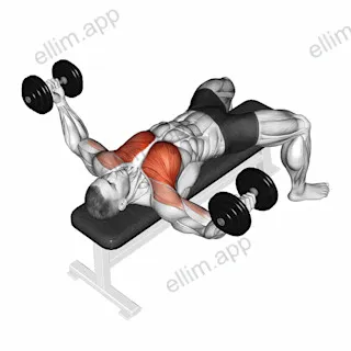 Dumbbell Twisted Fly exercise targeting Chest