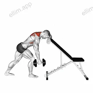 Dumbbell Unilateral Scapula Raise exercise targeting Back and Trapezius Lower Fibers