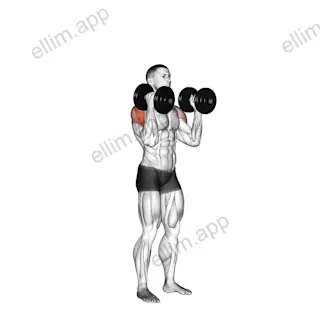 Dumbbell W press exercise targeting Shoulders