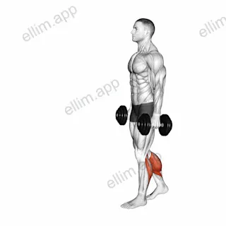Dumbbell Walking Calf Raise exercise targeting Calves