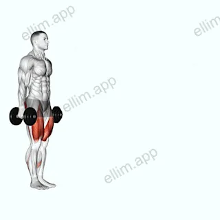 Dumbbell Walking Lunges exercise targeting Thighs and Gluteus Maximus