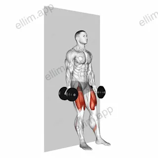 Dumbbell Wall Squat exercise targeting Thighs