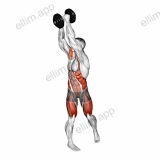 Dumbbell Wood Chop Squat exercise targeting Waist and Deltoid Anterior