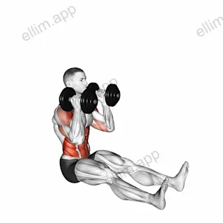 Dumbbell Z Press exercise targeting Shoulders