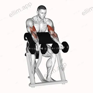 Dumbbell Zottman Preacher Curl exercise targeting Upper Arms and Biceps Brachii