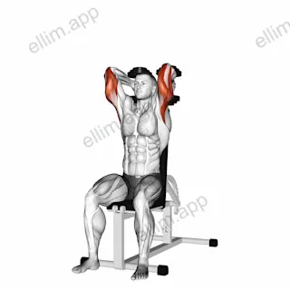 Dumbbells Seated Triceps Extension exercise targeting Upper Arms and Triceps Brachii