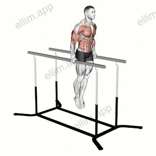 Elbow dips exercise targeting Upper Arms