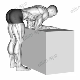 Elbow Extensor Anconeus Stretch exercise targeting Upper Arms