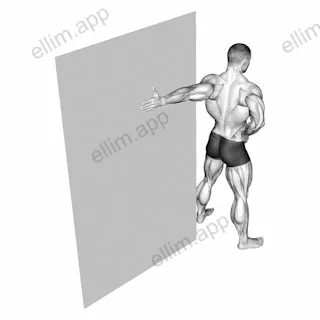 Elbow Flexor Stretch exercise targeting Upper Arms