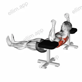 Elbow Lift - Reverse Push-Up exercise targeting Back and Infraspinatus