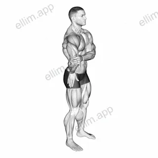 Elbow Out Rotator Stretch exercise targeting Shoulders