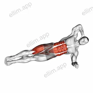 Elbow to Knee Side Plank Crunch exercise targeting Gluteus Maximus and Gluteus Medius