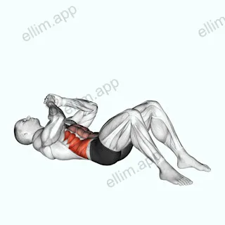 Elbow to Knee Sit up exercise targeting Waist