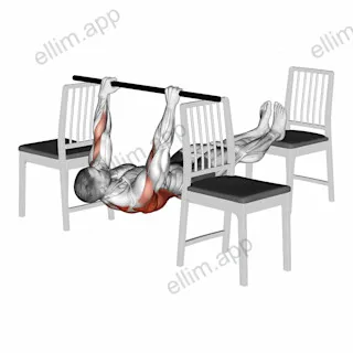 Elevanted Inverted Row between 3 Chairs exercise targeting Back and Infraspinatus