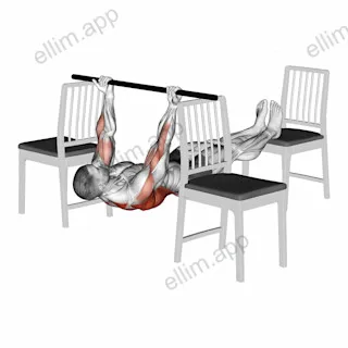 Elevanted Inverted Underhand Grip Row between 3 Chairs exercise targeting Back and Infraspinatus