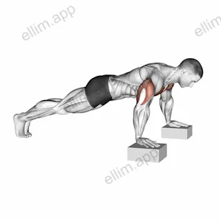 Elevanted Push-Up exercise targeting Chest and Pectoralis Major Clavicular Head