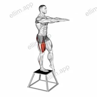 Elevated Single Leg Squat exercise targeting Thighs