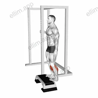 Elevated Standing Calf Raise exercise targeting Calves