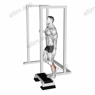 Elevated Standing Single Leg Calf Raise exercise targeting Calves