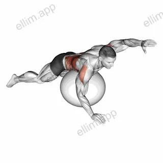 Exercise Ball Alternating Arm Ups exercise targeting Back and Latissimus Dorsi