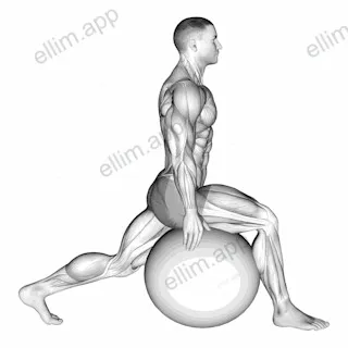 Exercise Ball Hip Flexor Stretch exercise targeting Thighs
