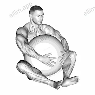 Exercise Ball Hug exercise targeting Back and Erector Spinae
