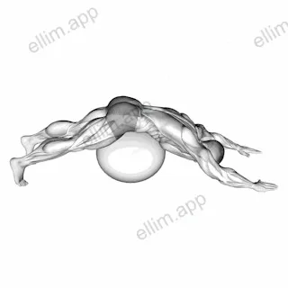Exercise Ball Lower Back Prone Stretch exercise targeting Back and Latissimus Dorsi