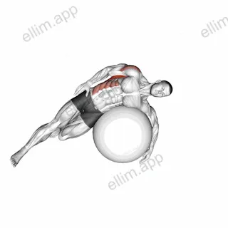 Exercise Ball Lying Side Lat Stretch exercise targeting Back and Latissimus Dorsi