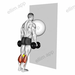 Exercise Ball on the Wall Calf Raise (tennis ball between knees) exercise targeting Calves and Gastrocnemius