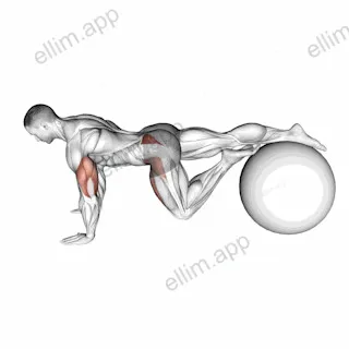 Exercise Ball One Leg Prone Lower Body Rotation exercise targeting Hips and Gluteus Medius