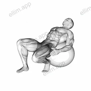 Exercise Ball Seated Quad Stretch exercise targeting Thighs