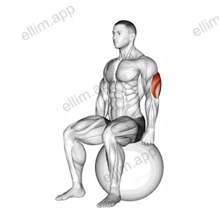 Exercise Ball Seated Triceps Stretch exercise targeting Upper Arms