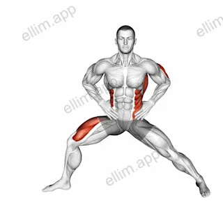 Extended Side Angle Yoga Pose exercise targeting Stretching