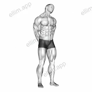 Extension And Inclination Neck Stretch exercise targeting Neck