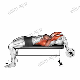EZ Bar California Skullcrusher exercise targeting Upper Arms