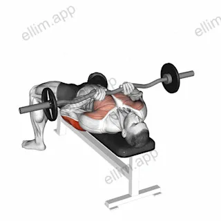 EZ-bar Close Grip Bench Press exercise targeting Upper Arms
