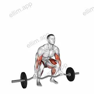 EZ-bar Deadlift with Biceps Curl exercise targeting Biceps Brachii and Gluteus Maximus