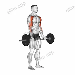 EZ-Bar Drag Bicep Curl exercise targeting Upper Arms