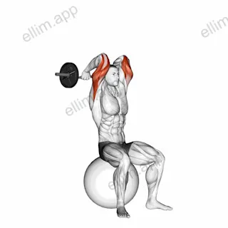 EZ Bar French Press on Exercise Ball exercise targeting Upper Arms
